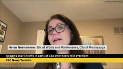 Rain storm brings flooding to some GTA roadways News Clip