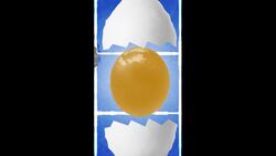 What Are Wrinkly Eggs? are they safe to eat? Instructional Video
