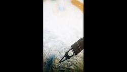 Cosmic Oddities: Blobs, Bursts, and Rogue Worlds Instructional Video