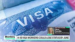 H-1B Visa Workers Could Lose Legal Status by June News Clip