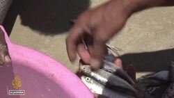 Climate change threatens food stocks for millions in Madagascar News Clip