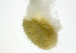 Hydrophilic Instructional Video