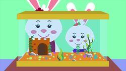 Ria Gets A Pet Instructional Video