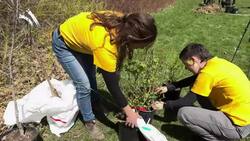 Why Kitchener's new youth-led 'food forest' matters to young people and the planet News Clip