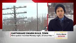 Mysterious earthquake 'swarm' rattles NB village News Clip