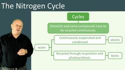 The Nitrogen Cycle: Continuously Recycling an Essential Element Instructional Video
