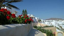 Summer flowers overlooking Shopping the streets of Oia Santorini Greece Stock Footage
