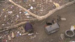 Scores of vultures gather near MD shopping center Instructional Video