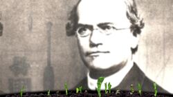 Transferring Traits Instructional Video