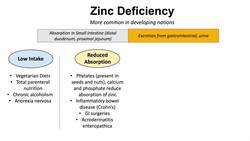 Zinc Deficiency | Dietary Sources, Causes, Signs & Symptoms (ex. Hair Loss), Diagnosis, Treatment Instructional Video