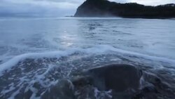 CLEAN : Un refugio en las costas de Nicaragua para la tortuga paslama News Clip