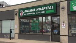 Veterinarian disciplined by Manitoba veterinary regulator News Clip