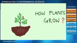 Introduction to Environmental Science Instructional Video