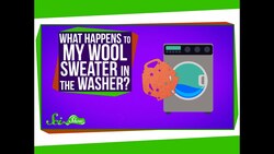 What Happens to My Wool Sweater in the Washer? Instructional Video