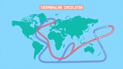 Weather Channels Instructional Video