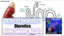 Diuretics | 4 Major Classes + Mechanisms of Action Instructional Video