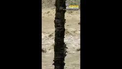 Flooding hits Vermont after torrential rain News Clip