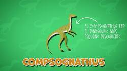 I WONDER - How Big Was The Compsognathus? Me Pregunto - Qué Tan Grande Era El Compsognathus? Instructional Video