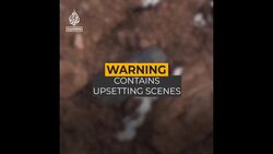 Russia-Ukraine: ‘Hell’ in Mariupol as attacks intensify News Clip