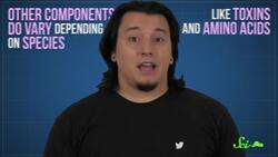 Sparkling Clouds and Other Wild Ways Cephalopods Use Ink Instructional Video