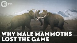 Why Male Mammoths Lost the Game (w/ TierZoo!) Instructional Video