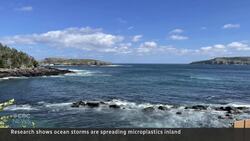 Hurricanes are whipping up plastic pollution into the air, research suggests News Clip