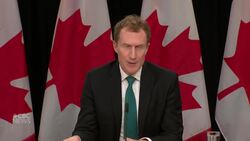 Winnipeg restaurant owner laments Ottawa's decision to reinstate visa requirements for Mexicans News Clip