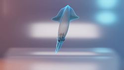 Scientists create human cells with squid-like transparency Instructional Video