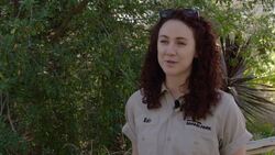 These Tiger Cubs Come Together for a Reunion After Surgery Instructional Video