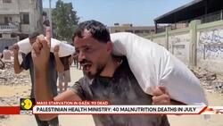 Gaza faces death by hunger, mass starvation kills 113 lives News Clip