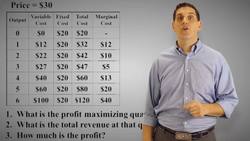 Maximizing Profit Practice Instructional Video