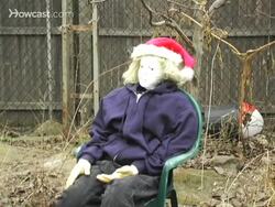 How to Take Great Photographs Instructional Video