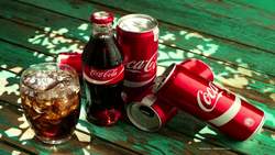 Atlas of the United States: The Southeastern Region: Georgia Instructional Video