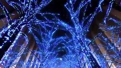 Neon Tree illumination Stock Footage