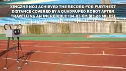 Farthest Distance Covered by a Quadruped Robot Instructional Video