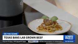 Texas governor signs law banning sale of lab-grown meat News Clip