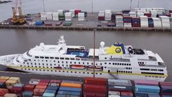 VOICED : Argentina descarta caso de covid en crucero aislado en alta mar News Clip