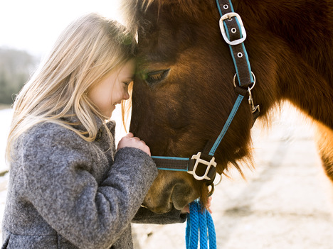 The Power of Curiosity