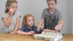 How to tell the difference between a boiled and a raw egg Instructional Video