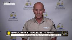 Australia: Dolphin rescue efforts underway in Tasmania Instructional Video