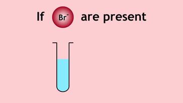 Testing For Chlorides, Bromides & Iodides