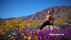 Seated Yoga to Tone Your Lower Abs & Thighs Instructional Video