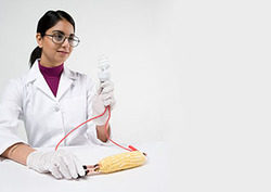 Insulator Instructional Video