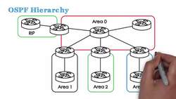routing protocols : OSPF Hierarchy - Multiple areas Instructional Video