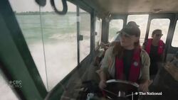 Toxic algae is invading Canada’s lakes. This early warning system could help Instructional Video