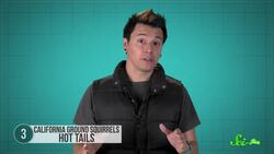 10 Bizarre Ways to Avoid Being Dinner Instructional Video