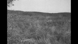 British soldiers train with hand grenades and mortars in Korea News Clip