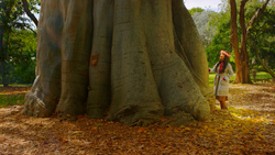 Leaf Instructional Video