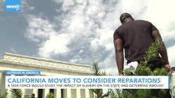 California Considers Reparations For Slavery News Clip