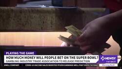 An Estimated 31M Americans To Bet On Super Bowl LVI News Clip